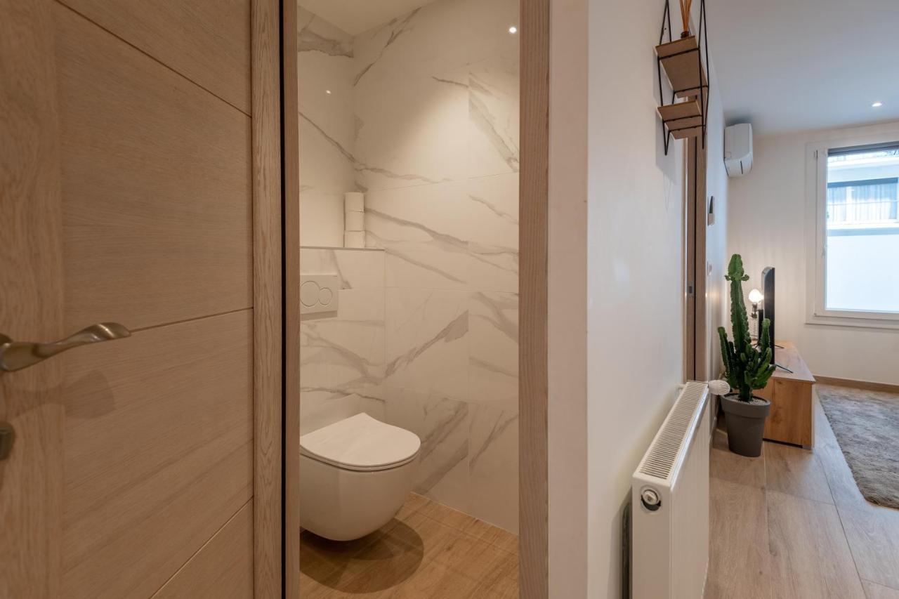 Appartement 7 Rhone Super T2 Renove Avec Place De Parking Privee à Annecy Extérieur photo